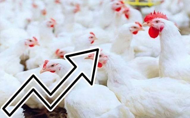 لاہور: مرغی کے گوشت اور انڈوں کی سرکاری نرخوں سے زائد پر فروخت جاری