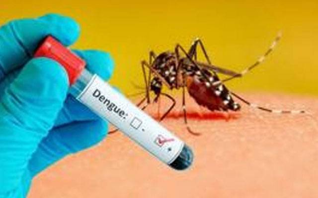لاہور میں انسداد ڈینگی: لاروا ملنے پر 10 گھروں میں سپرے کرنے کا فیصلہ