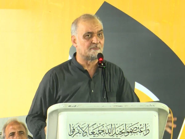 پیٹرولیم لیوی ختم نہ کی گئی تو نومبر کے وسط میں اسلام آباد کی طرف لانگ مارچ کریں گے، حافظ نعیم الرحمان